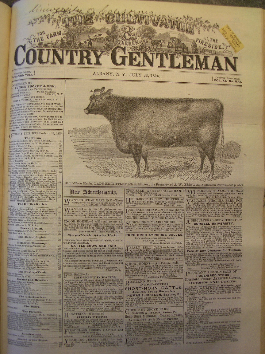 Jambalaya history, origins and etymology